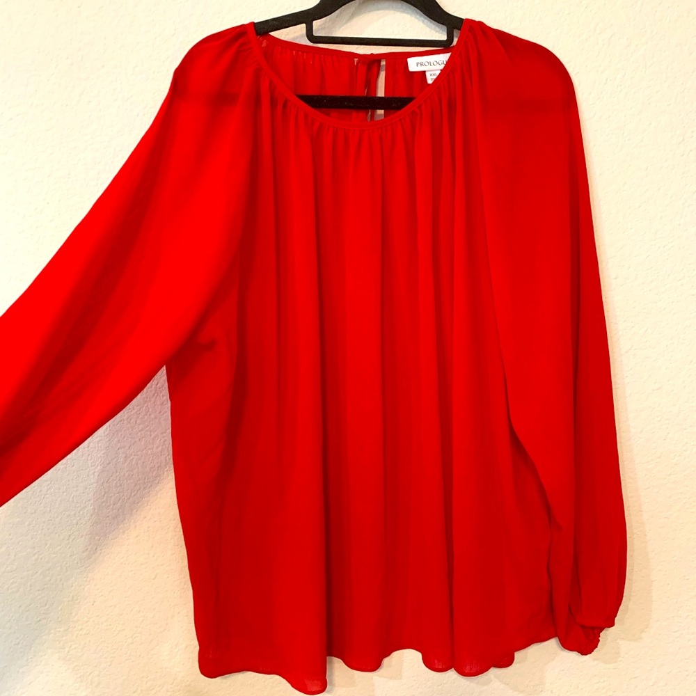 Prologue Sheer Top